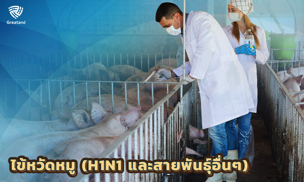 2.ไข้หวัดหมู (H1N1 และสายพันธุ์อื่นๆ)